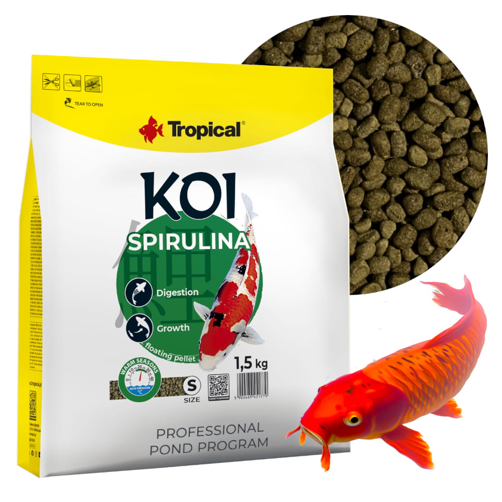 koi spirulina2.jpg